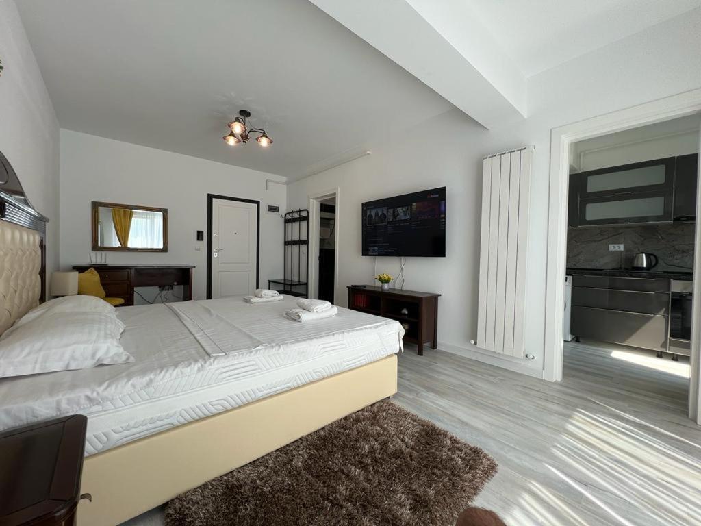 Urban Apartments And Studios - City Center Ιάσιο Εξωτερικό φωτογραφία