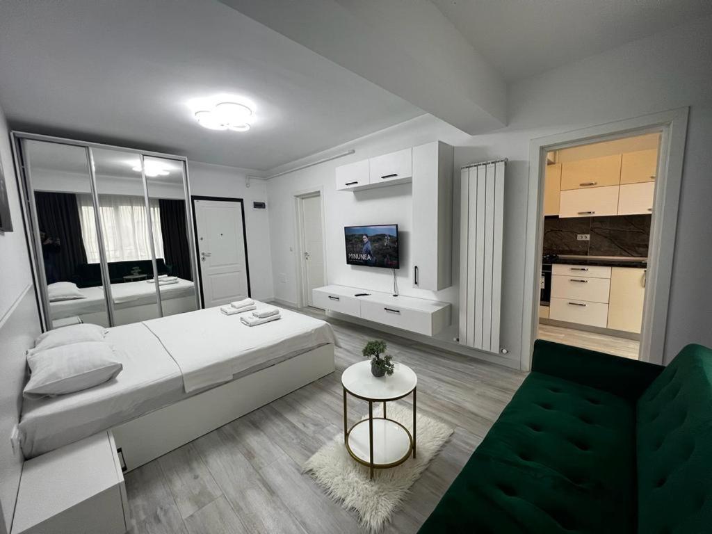 Urban Apartments And Studios - City Center Ιάσιο Εξωτερικό φωτογραφία